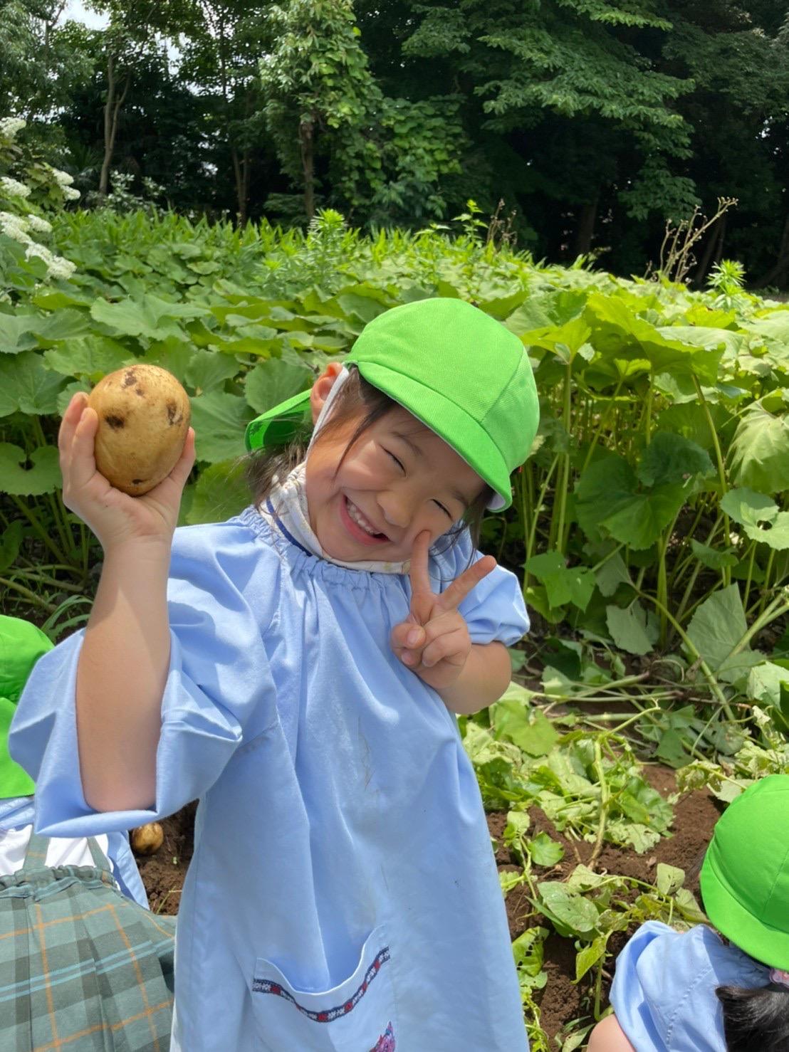 じゃがいも🥔掘りと玉ねぎ🧅収穫を行いました♪