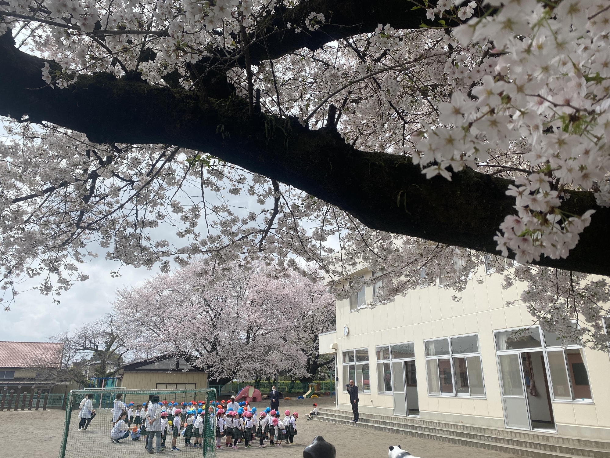 令和６年度　岩槻みどり幼稚園