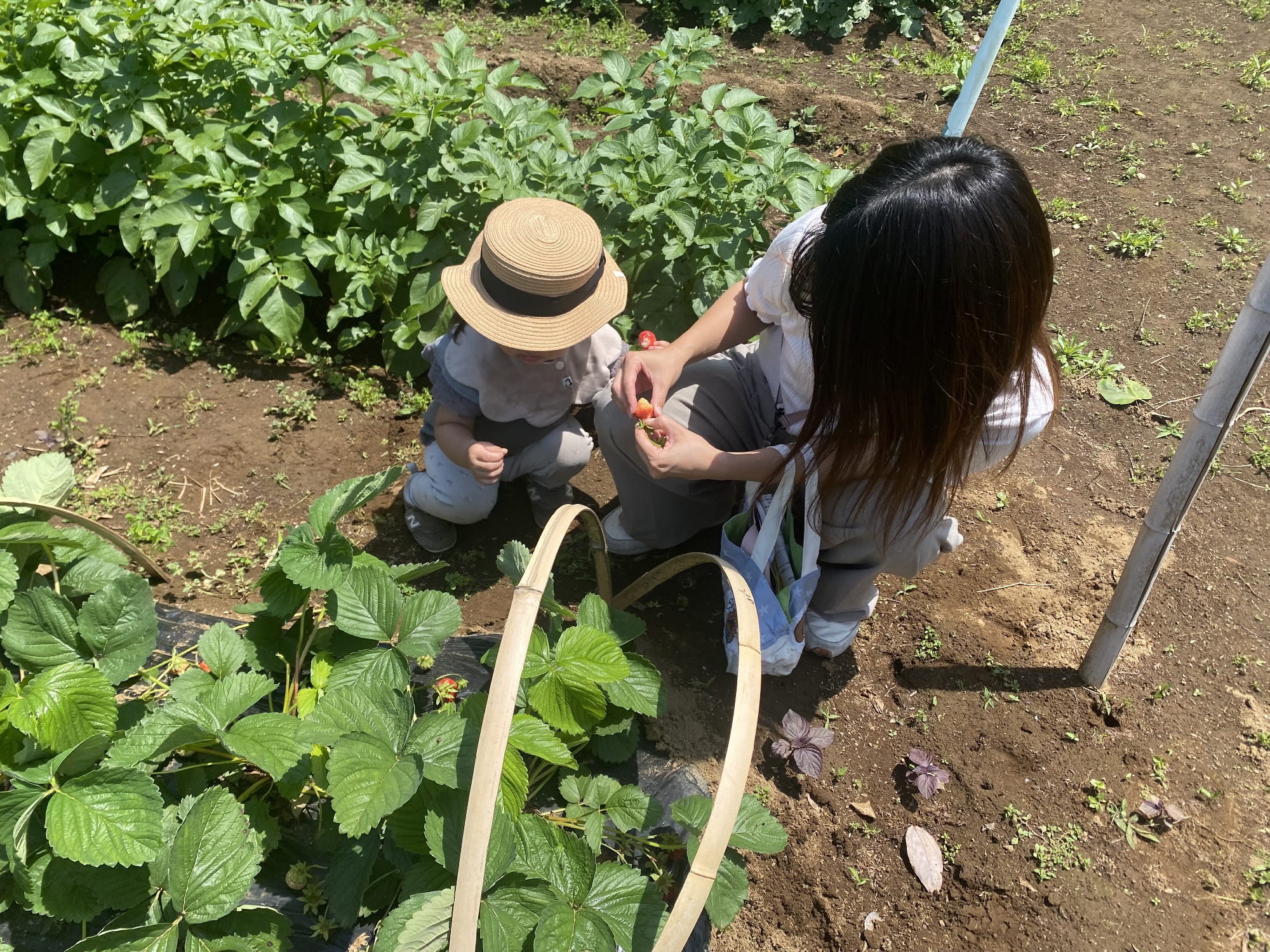 第1回　にこにこクラブ🍓