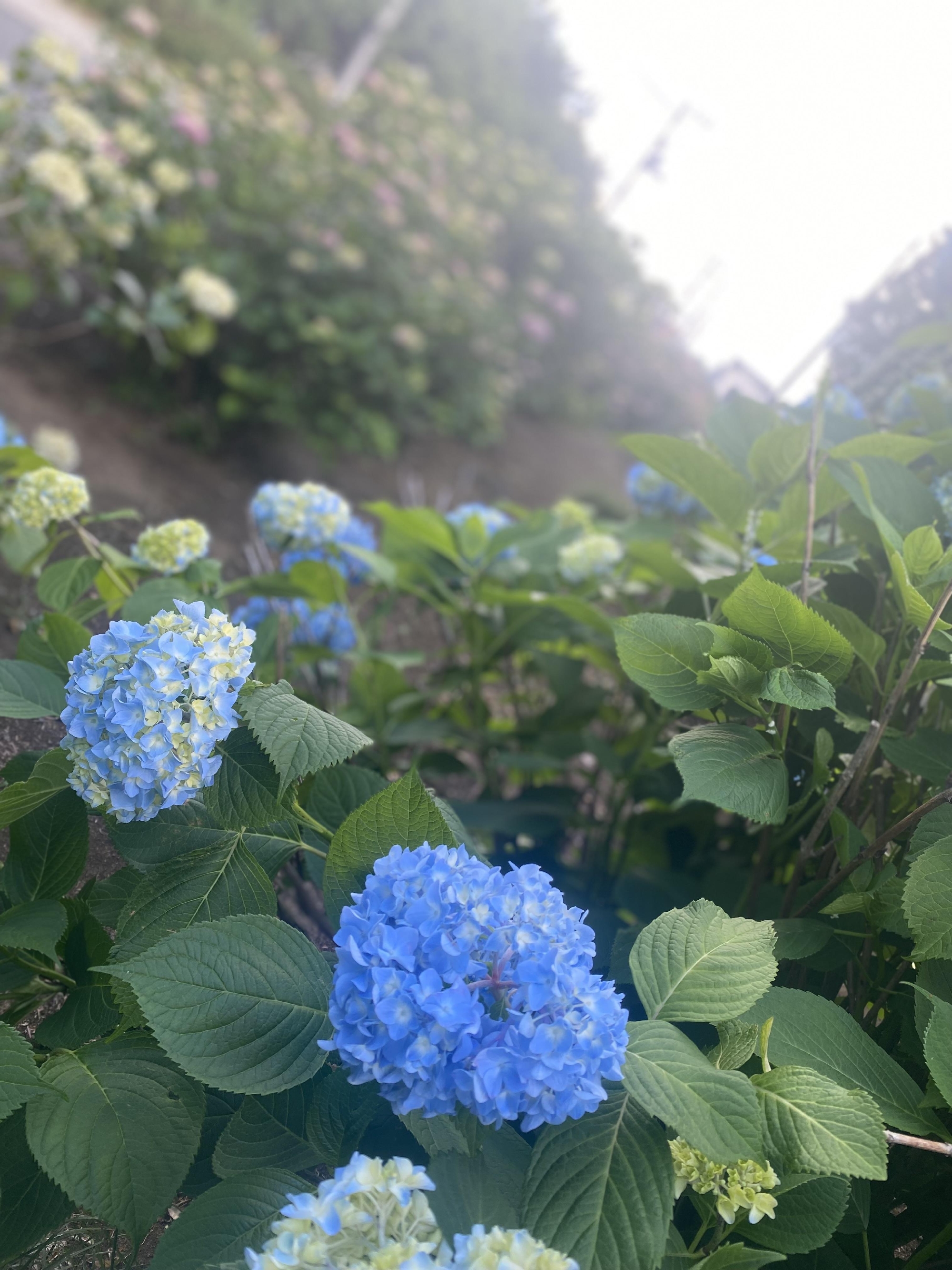 明日は、観劇会👀