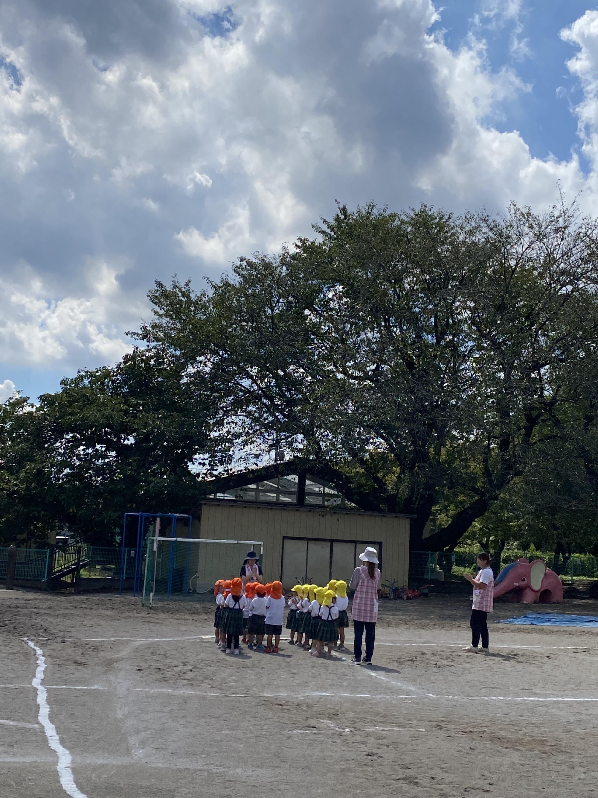 10月12日(水)は運動会💪🏻✨